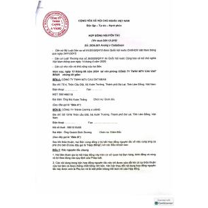 TCB CÀ PHÊ VÀNG ARABICA YELLOW BOURBON 250GR